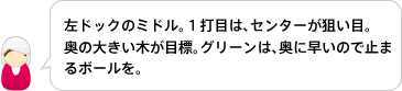 左ドックのミドル。１打目は、センターが狙い目。
奥の大きい木が目標。グリーンは、奥に早いので止まるボールを。